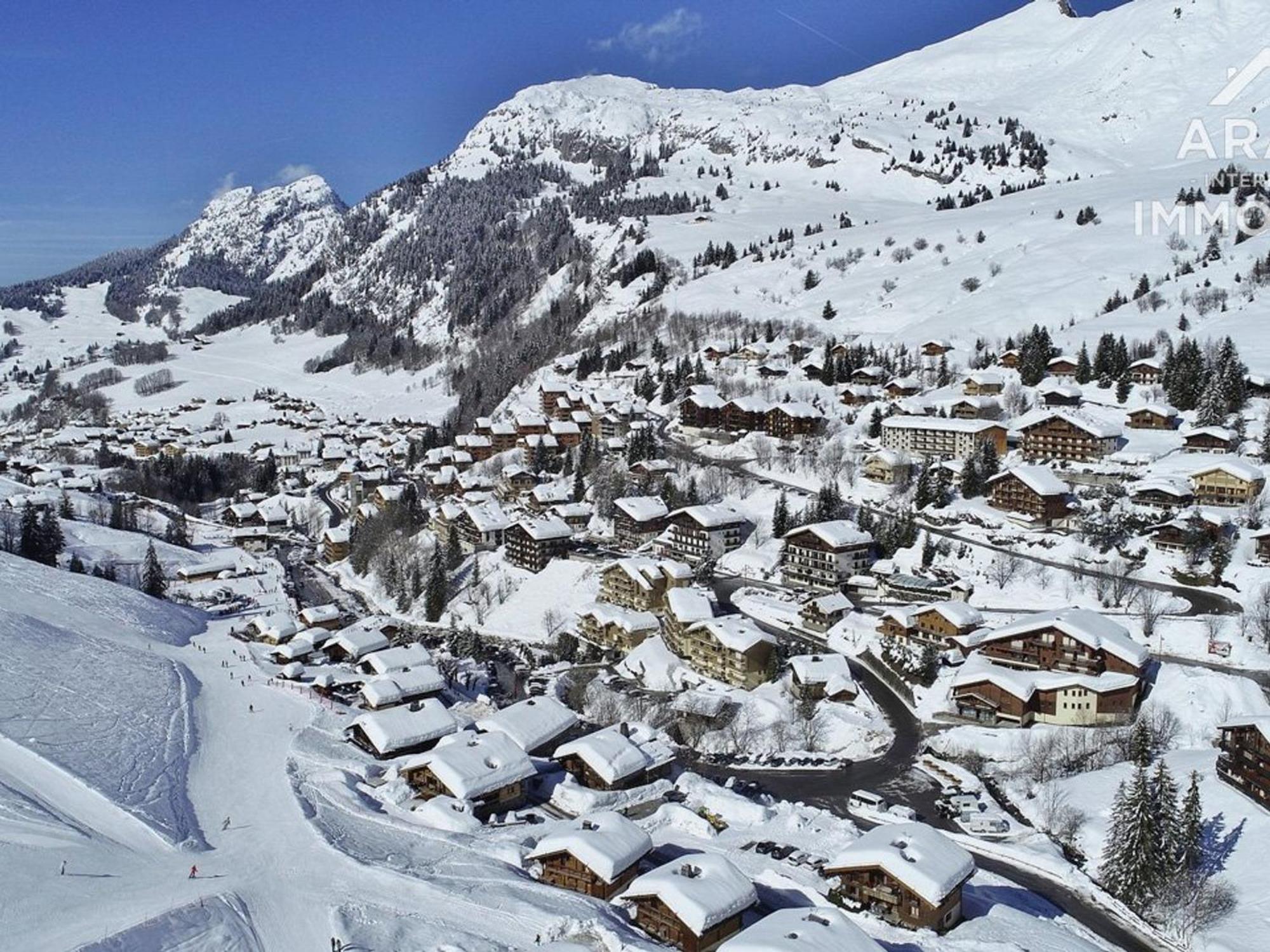 Chalet Independant Spacieux, 18 Pers, 7 Chambres, Wifi, Proche Commerces! - Fr-1-391-29 ル・グラン・ボルナン エクステリア 写真